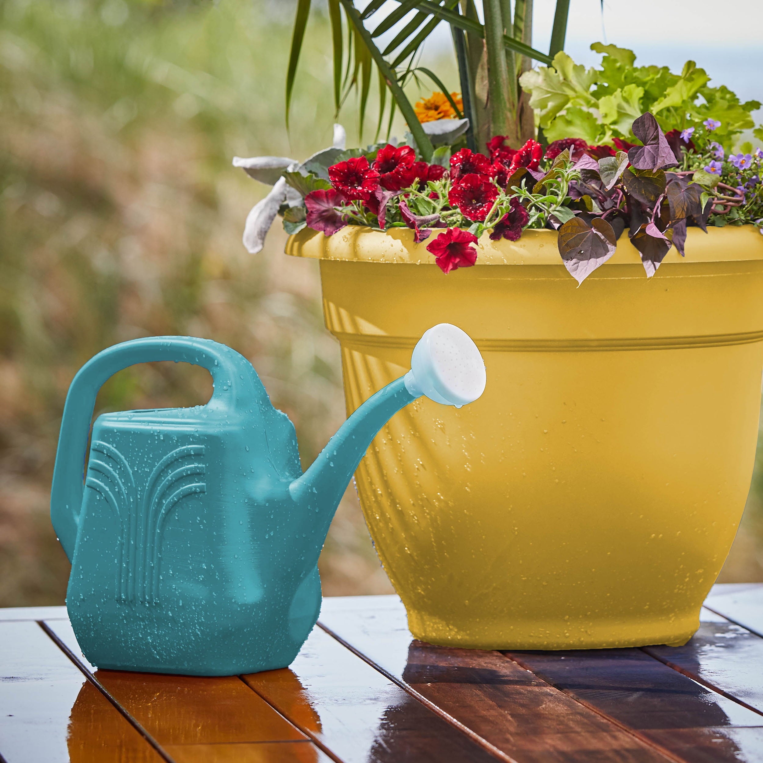 Bloem Watering Can Classic 2 Gallon Bermuda Teal