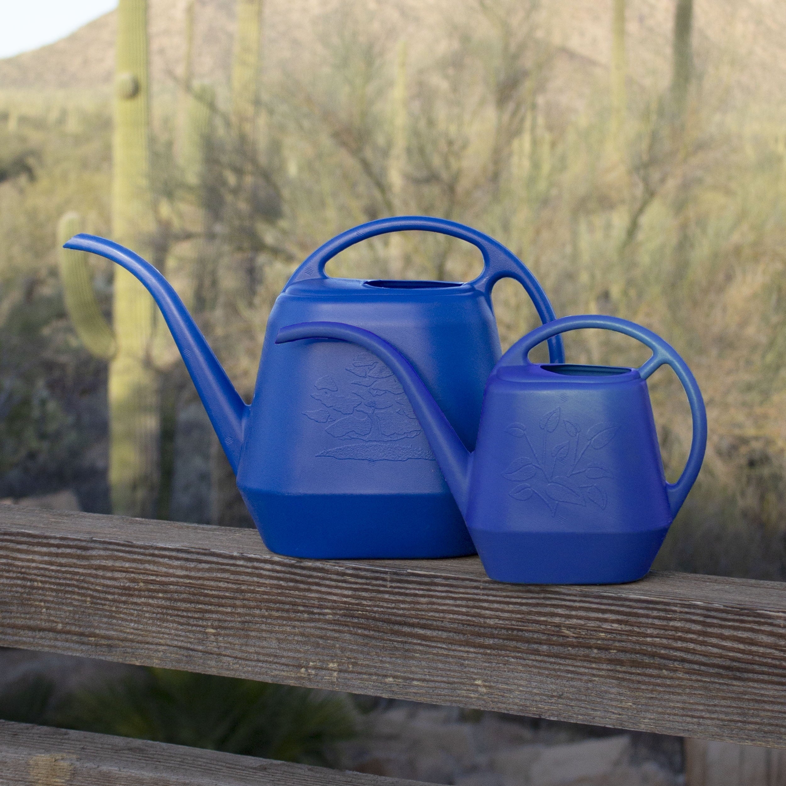 Bloem Aqua Rite Plastic Watering Can - 56 Oz Capacity - Classic Blue