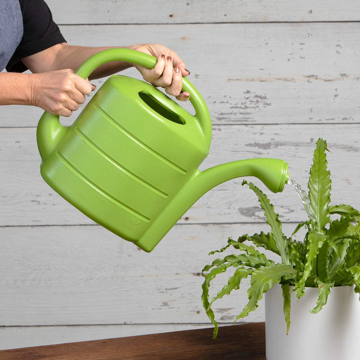 Novelty Mfg. 2g Green Poly Watering Can 30413